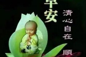 佛教问候图片大全 佛教问侯语