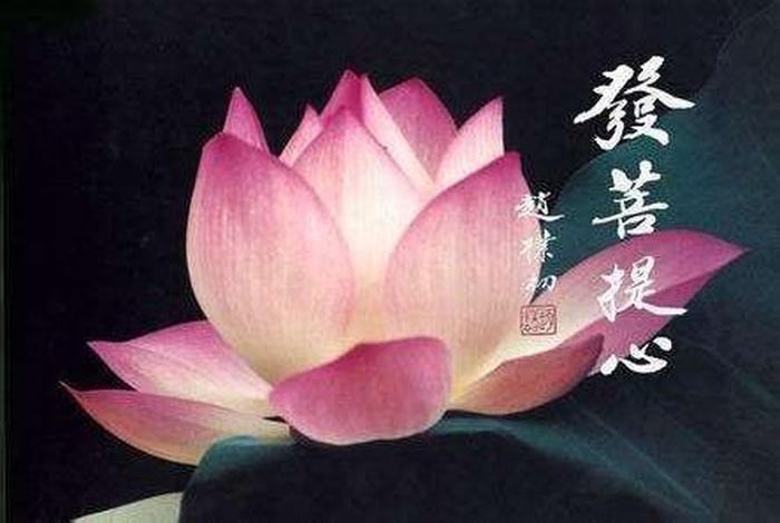 念佛算修行吗、念佛是有为法吗