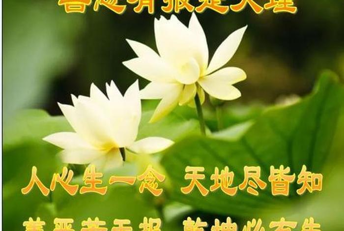 在佛教里养牲畜的果报，佛教说养殖