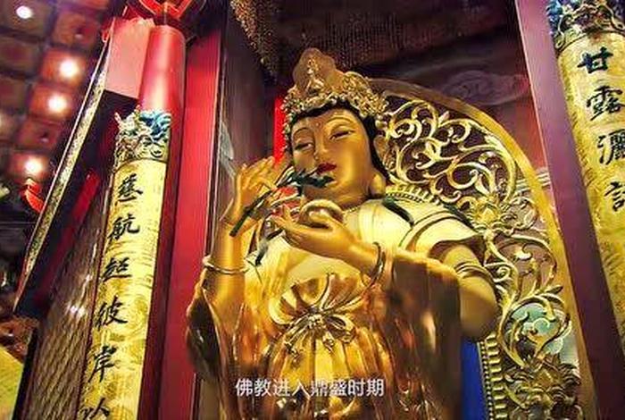 中央四台佛教知识直播，央视佛教纪录片大全