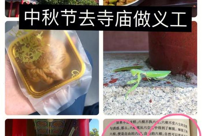 六根清净参悟佛经 - 六根清净的偈语