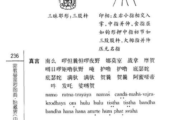 修炼佛教功法（佛修功法名称）