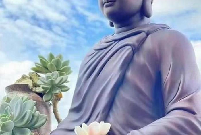 反常识的佛学解释有哪些，反常识的事情