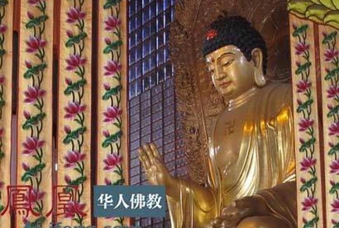 佛教不为人知的真相；佛教不为人知的真相有哪些