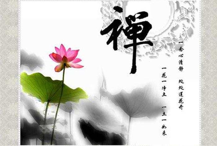 传授知识用佛教术语怎么说呢（传授知识用佛教术语怎么说呢视频）