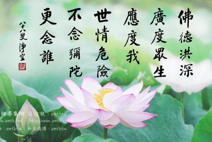 佛学因缘果报 - 佛教因缘果报