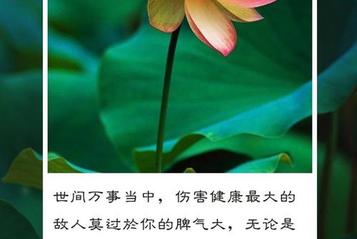 佛学关于相的句子 佛家讲的相