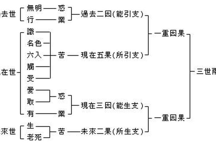 十二因缘佛学基础知识详解、佛教十二因缘讲解视频