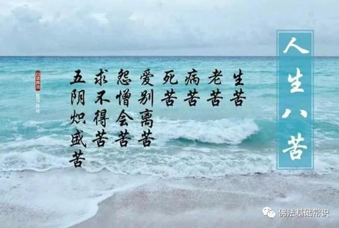 佛家对人生八苦的解读（佛家对人生八苦的解读视频）