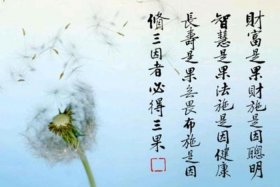 佛教有学无学是什么意思；佛教无学位什么意思