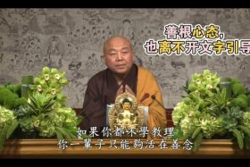 净界法师佛学概要全集 净界法师全集讲座
