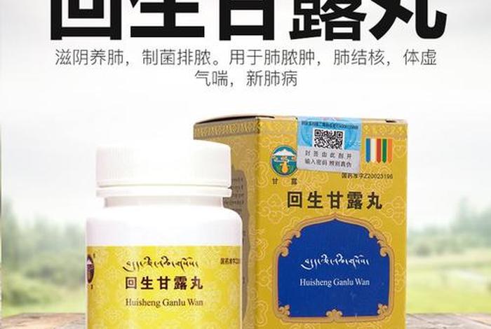 甘露丸是什么？，甘露丸是什么做的 藏传
