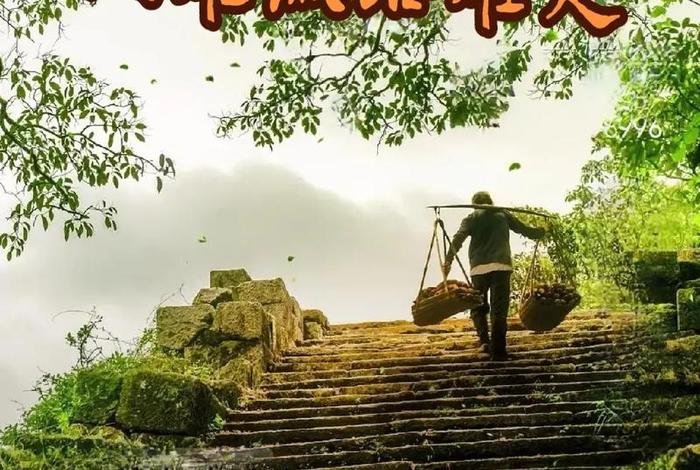 人生路真的不容易走、人生的路真的很难走 人生路真的不容易走、人生的路真的很难走