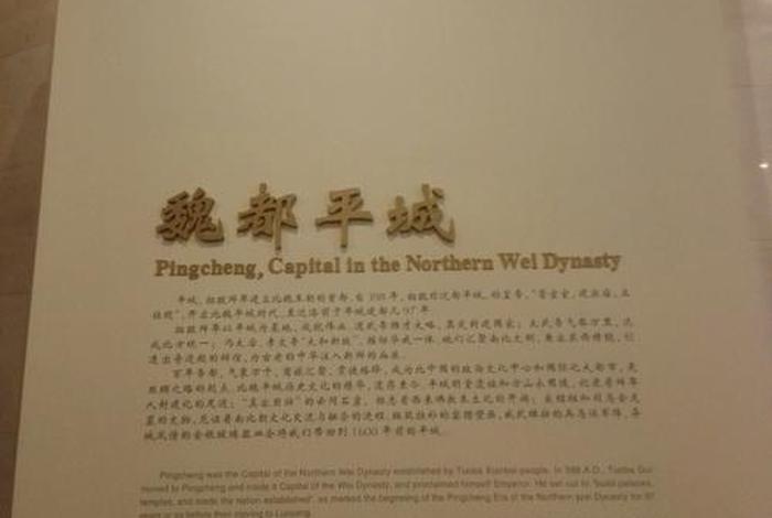 知识博物馆深度解析，博物馆学知识