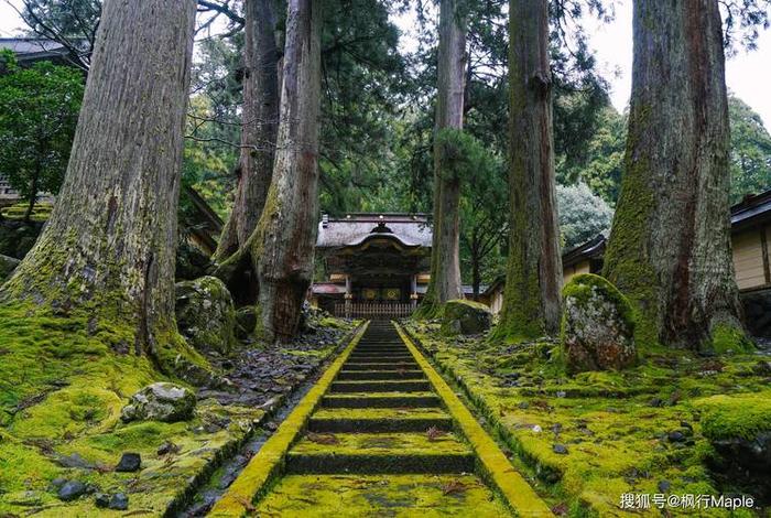 佛教寺庙小知识大全集 寺庙知识视频大全