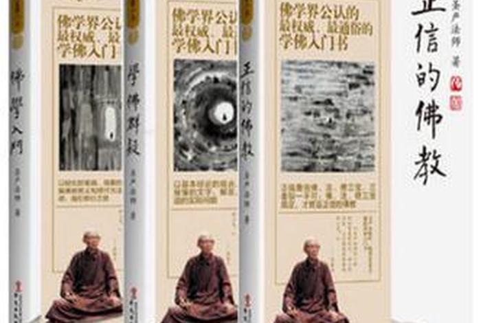佛学入门圣严法师txt下载，佛学入门电子书下载