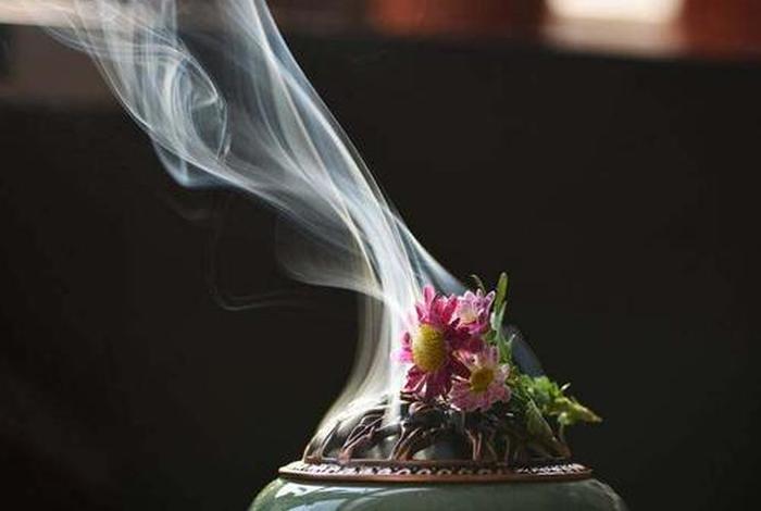 佛教一花开五叶（一花开五叶的意思）