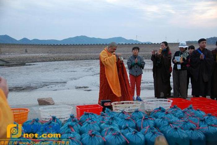 放生是道教文化还是佛教文化 放生是信佛还是信教