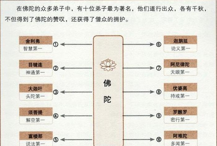 实证佛教导论完整版、佛法实证的妙用