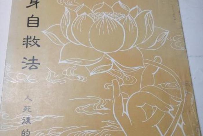 中阴身佛教；中阴身佛教异说
