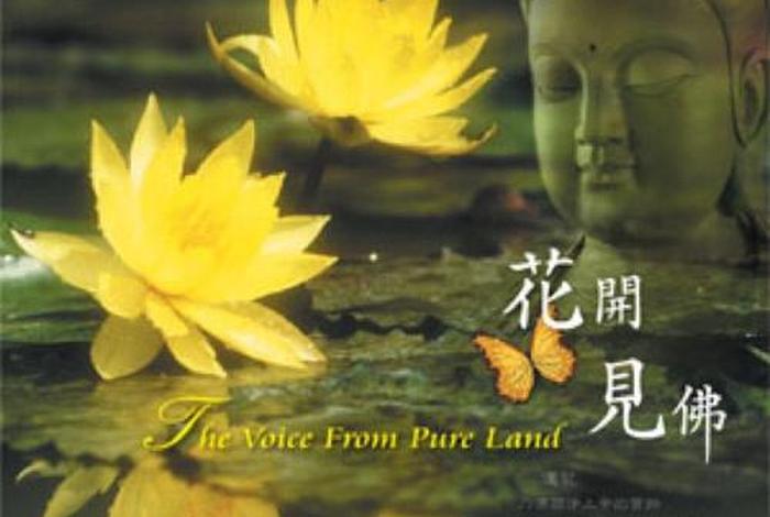 佛教中的九瓣莲花代表什么；九瓣莲花图案