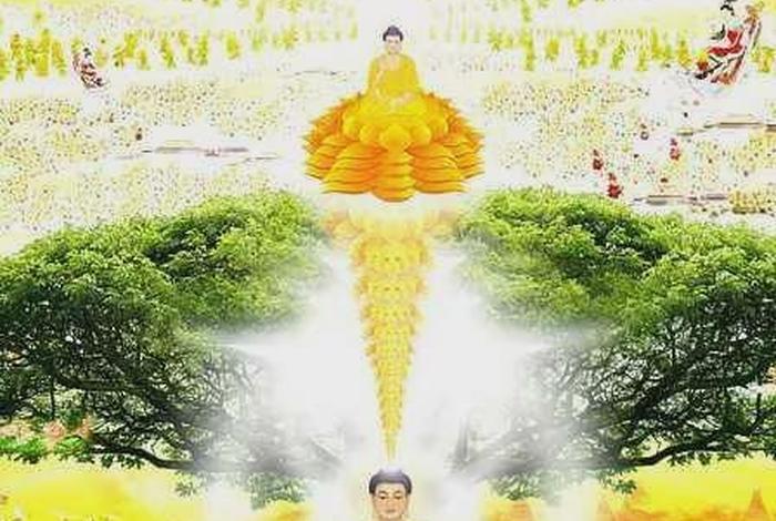 从佛法角度看口臭 佛法口臭是什么业障