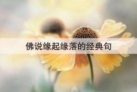 佛说相亲老失败 相亲老是失败是缘分没到吗