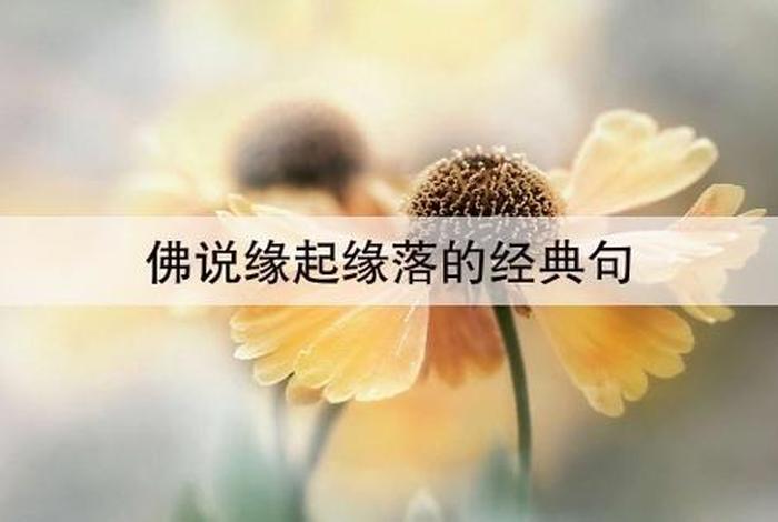 佛说相亲老失败 相亲老是失败是缘分没到吗