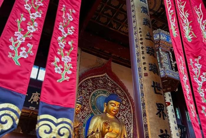 佛教知识图文结合图解法视频 - 佛教知识图文结合图解法视频讲解