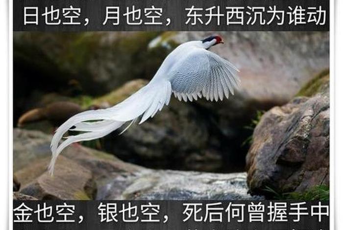 佛教天也空地也空，民间佛歌天也空地也空