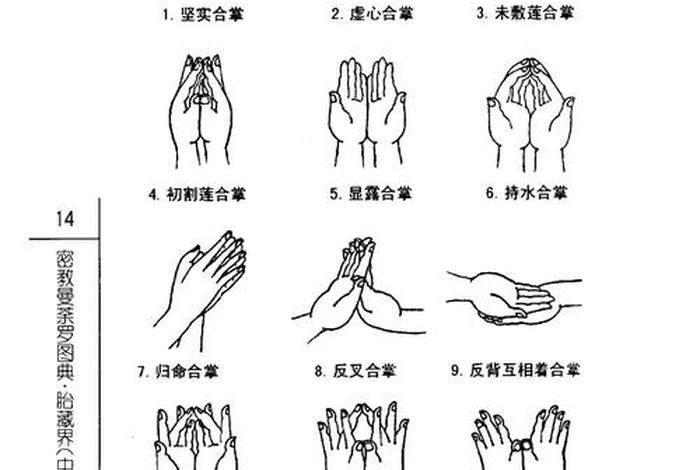 佛教基础常识大全 - 佛教基本知识入门