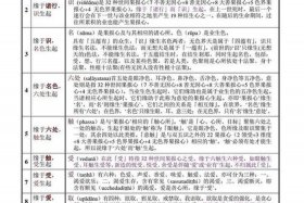 佛教用语知识点大全图片及解释（佛教用语知识点大全图片及解释图）
