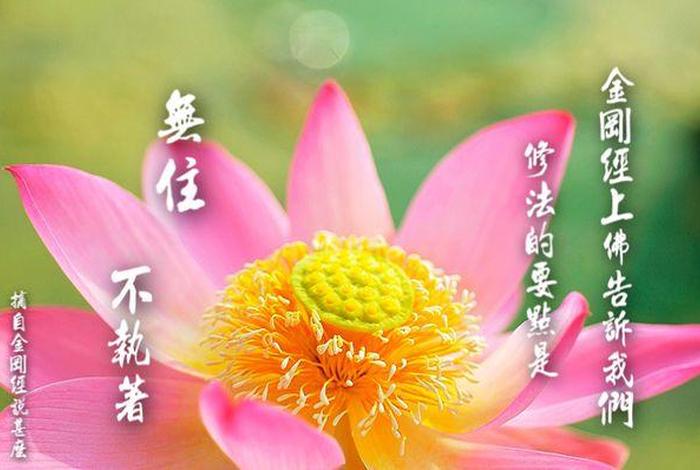 佛语众生是什么意思；佛家说的众生是指什么意思