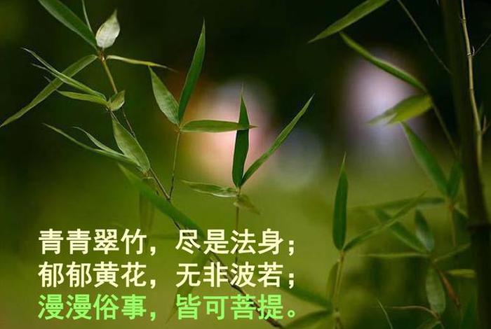 描写佛教意境的诗句（写佛教的诗词）