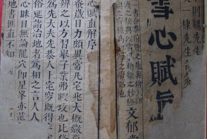李双林讲，李双林讲解雪心赋全集
