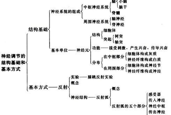 神学理论基础知识（神学的理论基础）