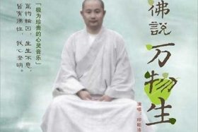 佛教教育短片专辑（佛教教育短片佛法概要视频）