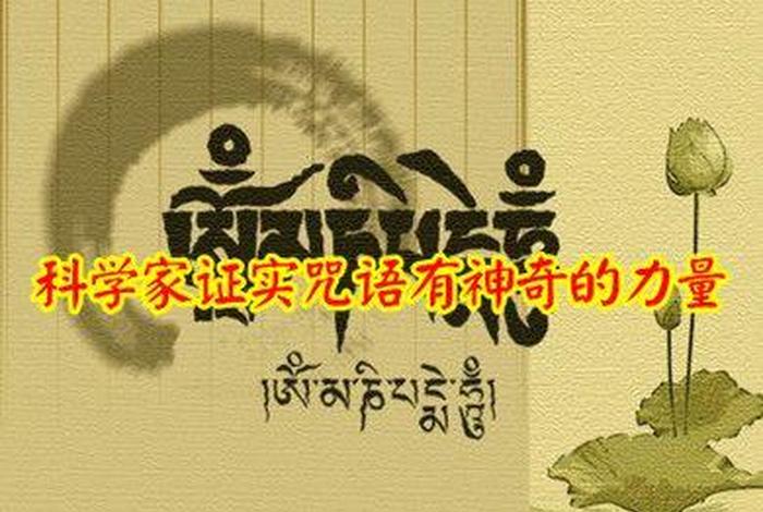 反正说佛教相关知识的话叫什么、佛教说的话可信吗