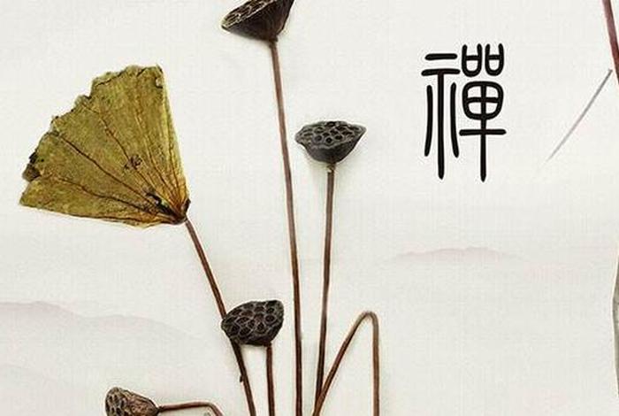 日本佛教禅意（日本文化中的禅意）