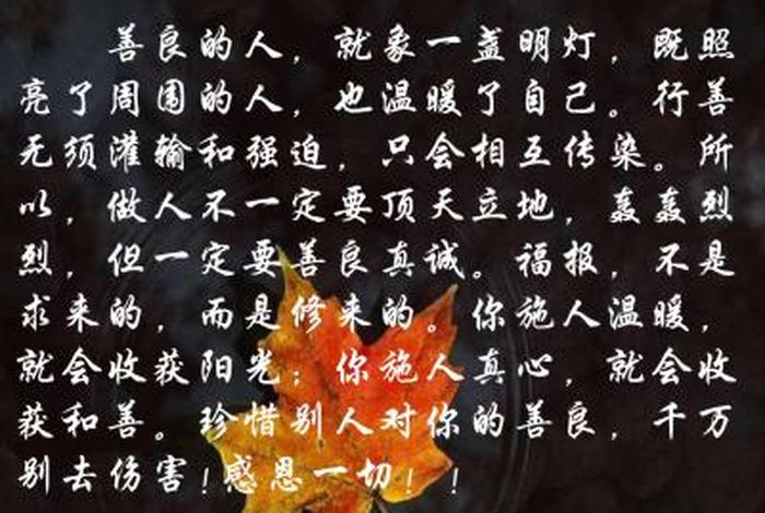 善良的意义佛教 - 佛语善良的人