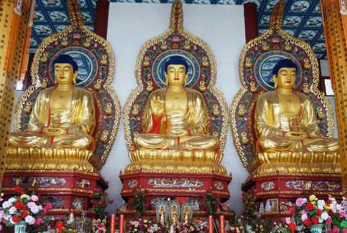 寺庙里的佛教知识有哪些（寺庙里都有哪些常见的佛）