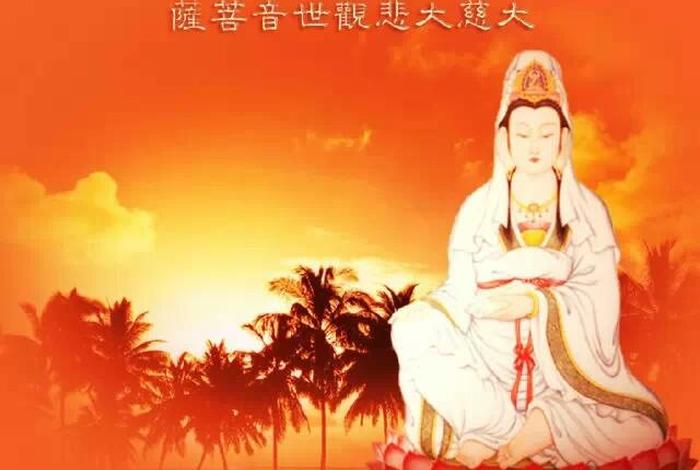 佛教讲慈悲的视频 佛学慈悲