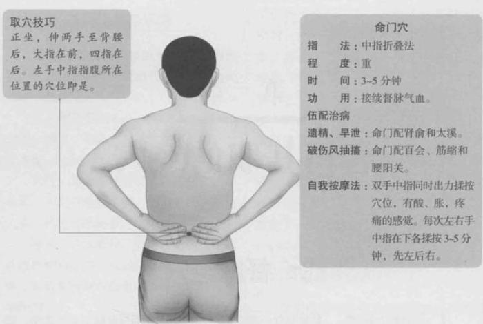 命门的重要性？、命门有什么用
