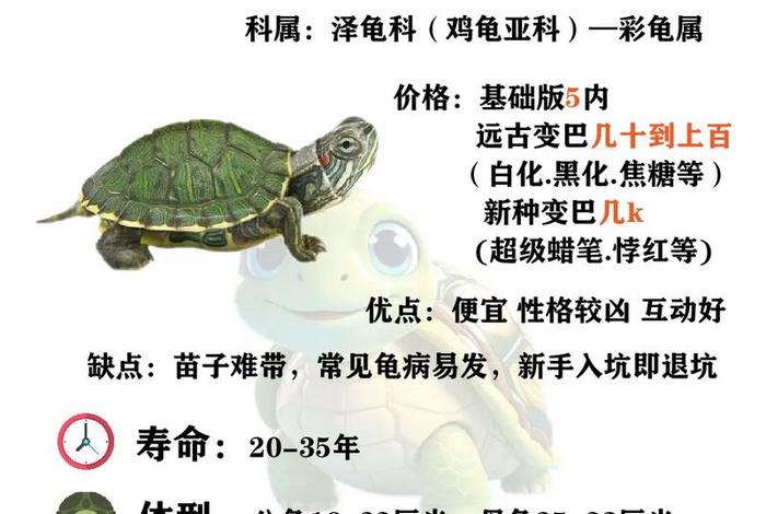 龟神话故事 中外神话故事有哪些