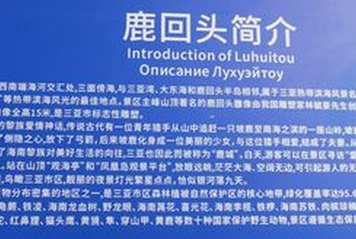 鹿回头的故事（鹿回头有什么历史啊为什么叫鹿回头）