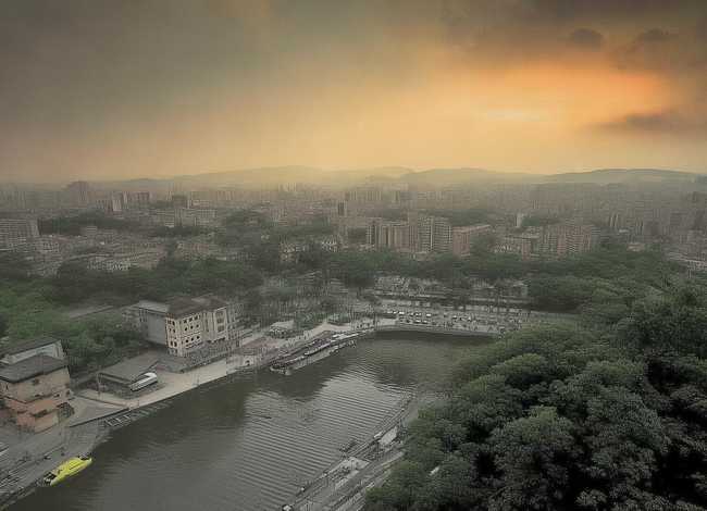 鹿角仙人读后感,读鹿角和鹿腿的读后感100字 鹿角仙人读后感,读鹿角和鹿腿的读后感100字