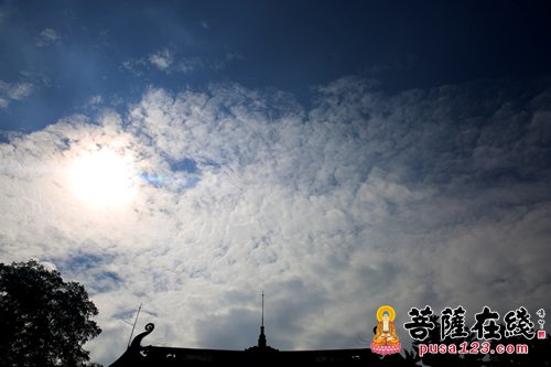 「台海时事」海峡两岸2015年修福修慧供千僧斋会在上海龙华古寺举行