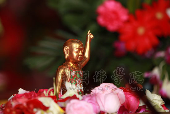 「佛教」中国佛学院隆重举行佛历2555年庆祝释迦佛圣诞浴佛法会