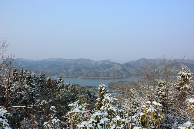「佛教」佛教摄印－－大佛印雪