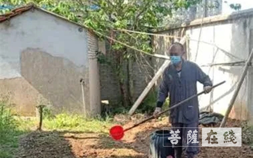 「佛教」抢抓农时,自力更生,湖北各寺掀起春耕生产热潮 「佛教」抢抓农时,自力更生,湖北各寺掀起春耕生产热潮